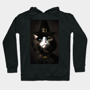 Cat witch with blue and green eyes Hoodie